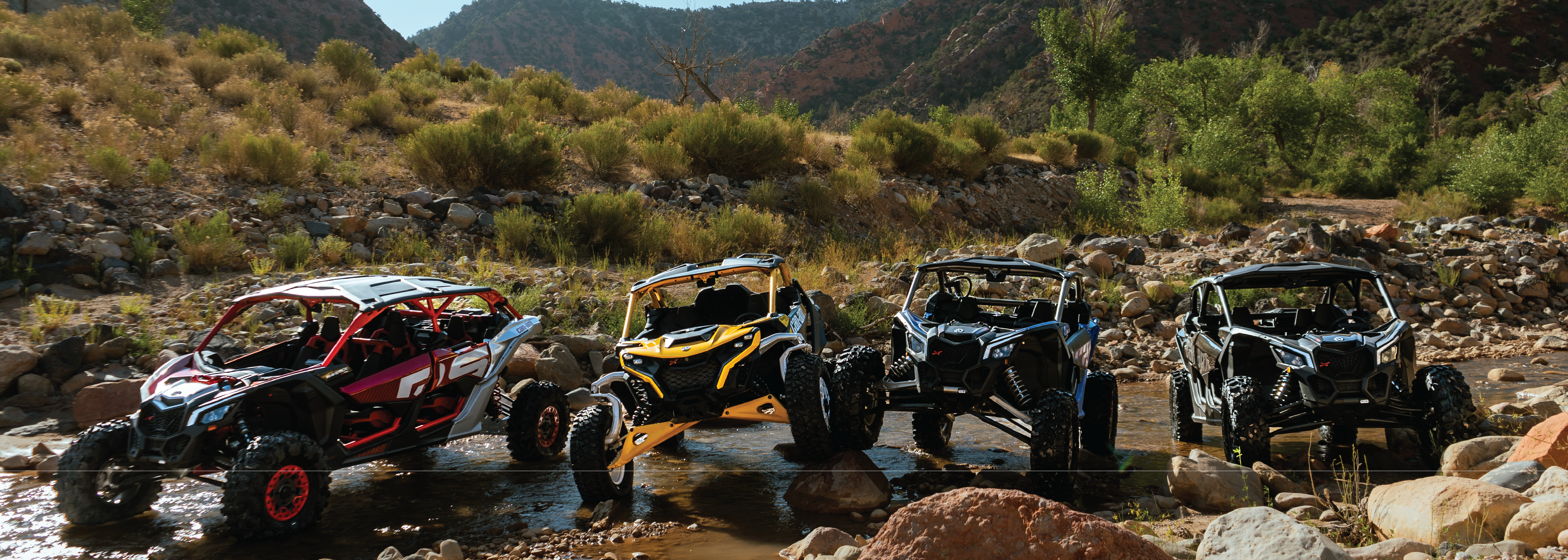 Lynx vehicles at D&P Performance Cedar City Utah