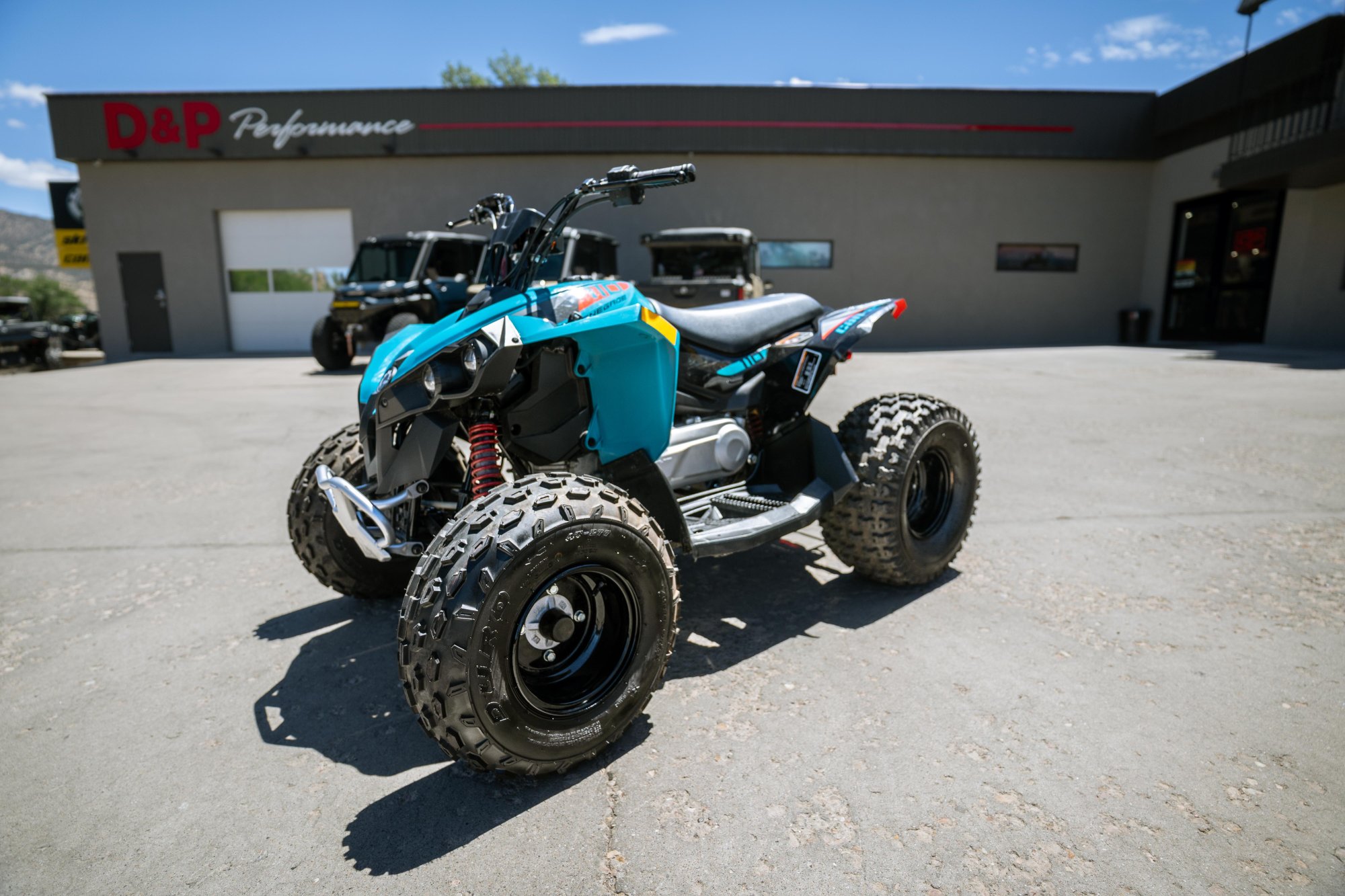 2023 Can-Am RENEGADE 110 EFI  - Image 1