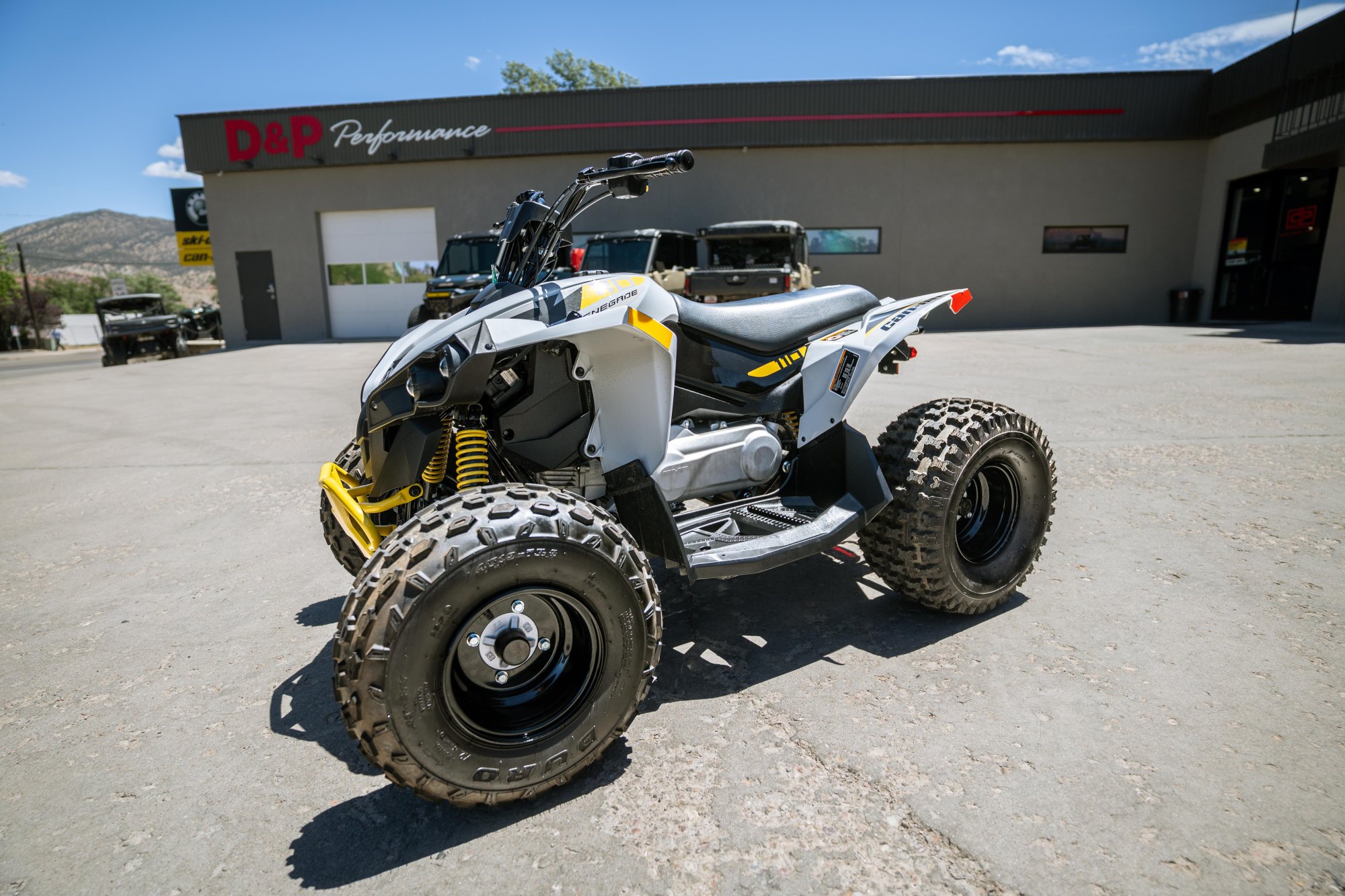 2023 Can-Am RENEGADE 110 EFI  - Image 2