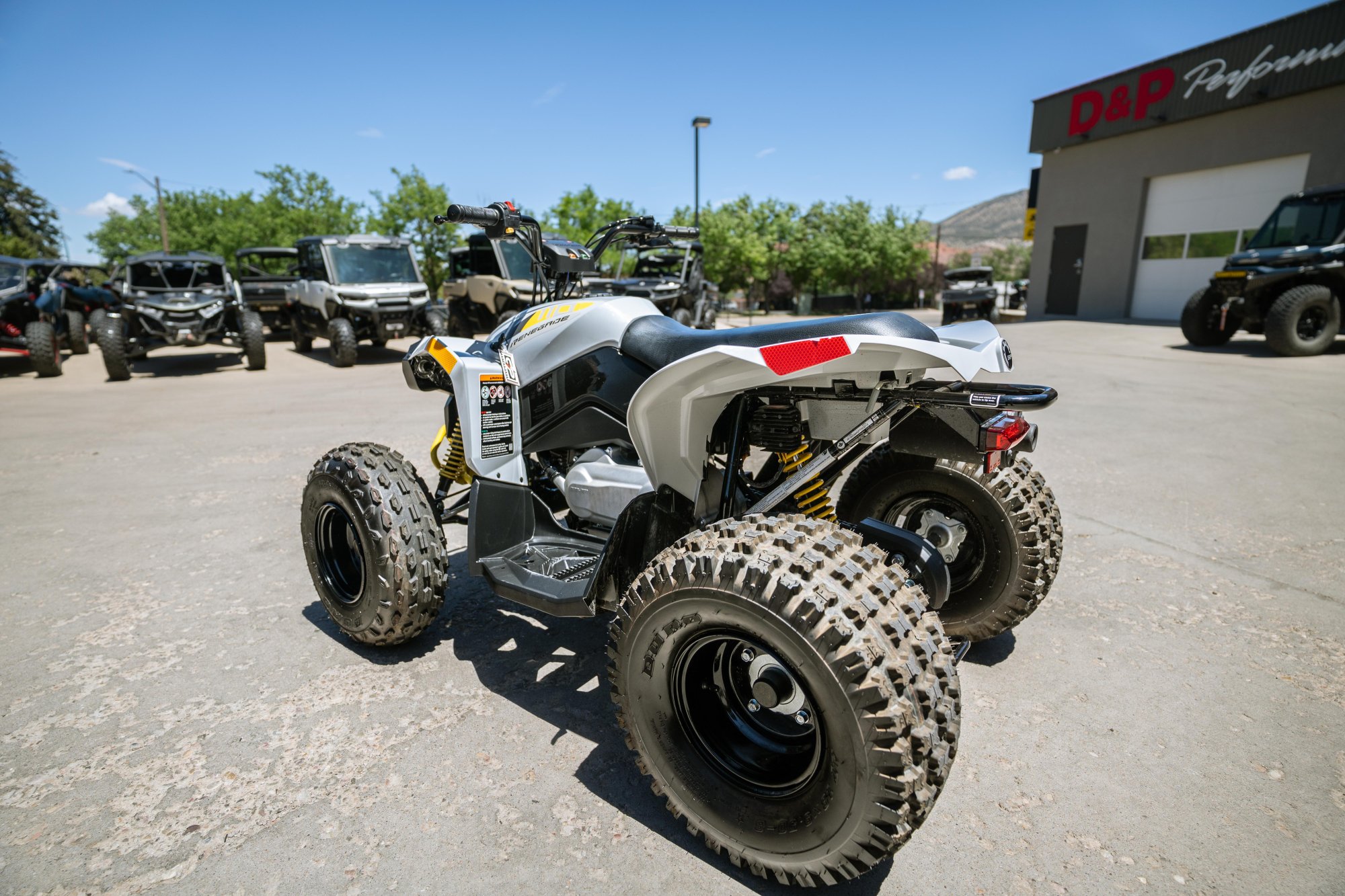 2023 Can-Am RENEGADE 110 EFI  - Image 3